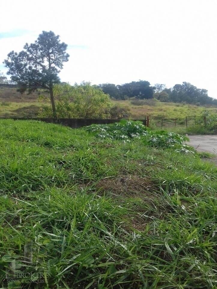 Terreno, 300 m² - Foto 2