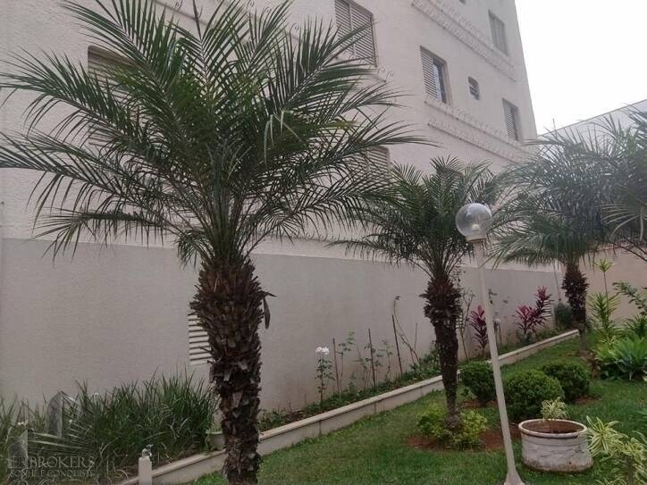 Apartamento, 3 quartos, 119 m² - Foto 33