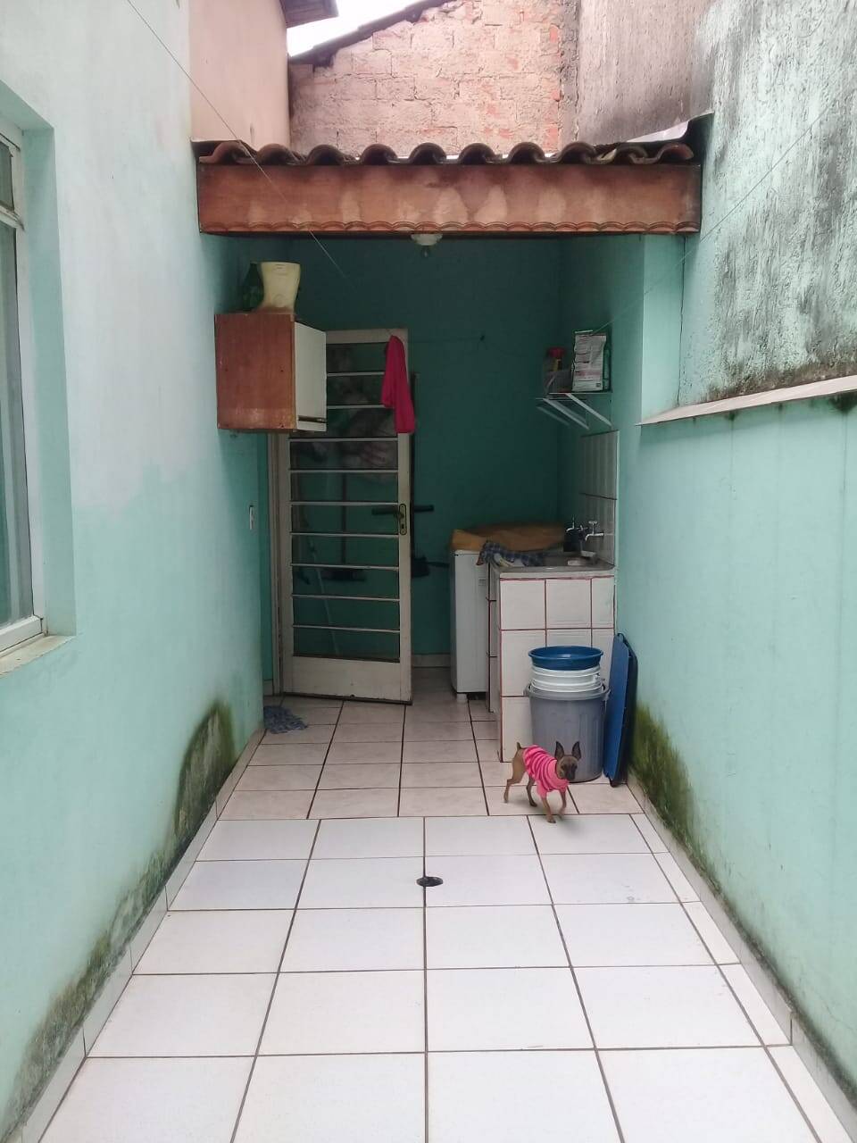 Casa, 3 quartos, 278 m² - Foto 19