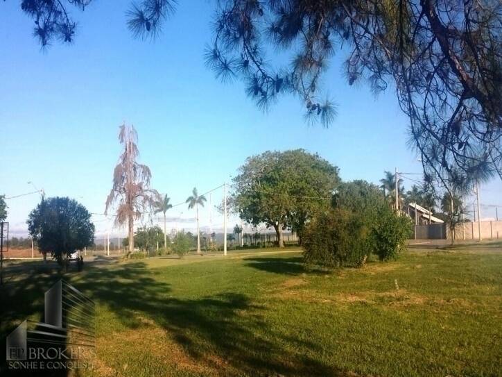 Terreno, 1369 m² - Foto 5