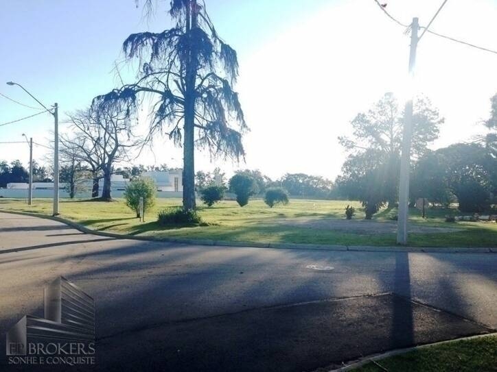 Terreno, 1369 m² - Foto 6