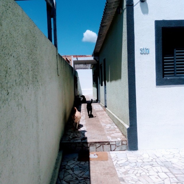 Casa de Condomínio, 2 quartos - Foto 13