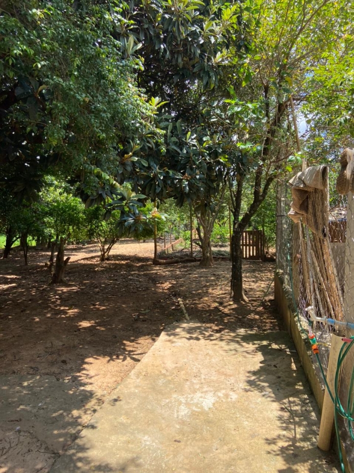 Sítio, 3 quartos, 2000 m² - Foto 19