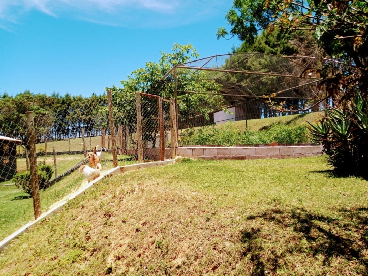 Sítio à venda com 4 quartos, 900m² - Foto 7