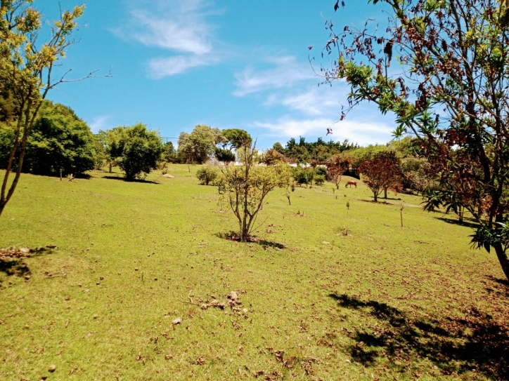Sítio à venda com 4 quartos, 900m² - Foto 11