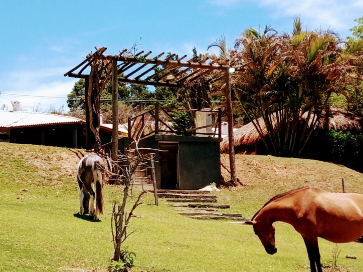 Sítio à venda com 4 quartos, 900m² - Foto 13