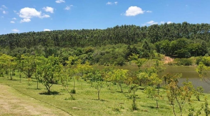 Terreno, 1000 m² - Foto 6