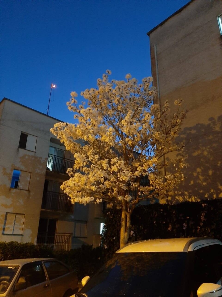 Apartamento, 2 quartos, 42 m² - Foto 14