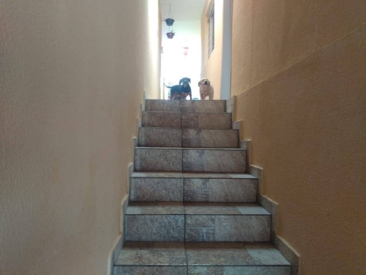Casa, 3 quartos, 134 m² - Foto 2