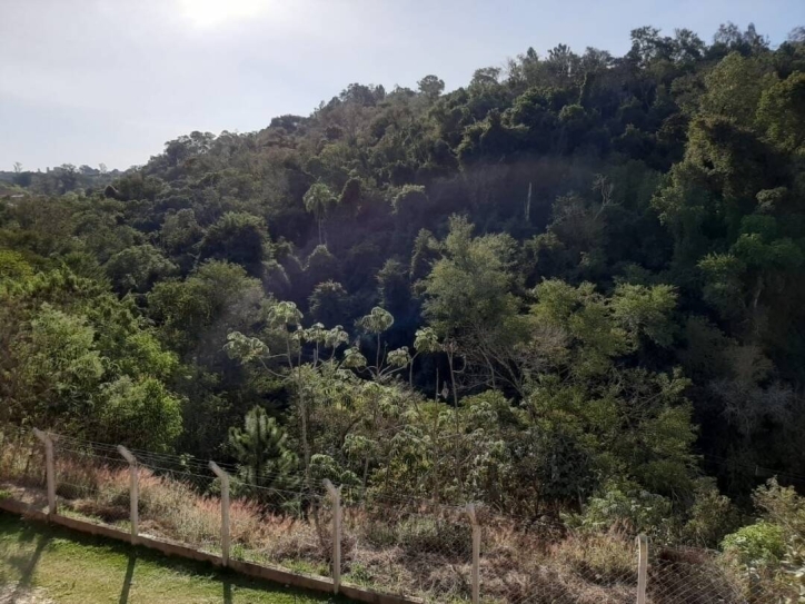 Terreno, 168 m² - Foto 10