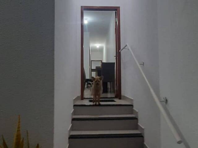 Casa para Venda em Sorocaba - 4