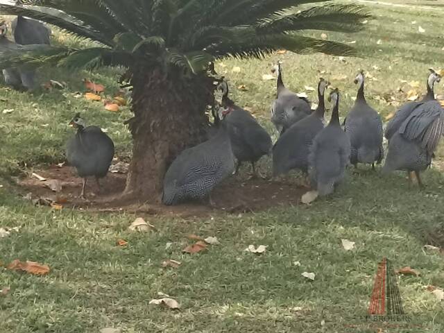 Área para Venda em Sorocaba - 5
