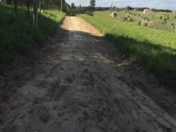 Terreno para Venda em Sarapuí - 5