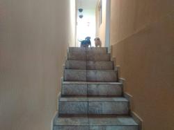 Casa para Venda em Sorocaba - 2