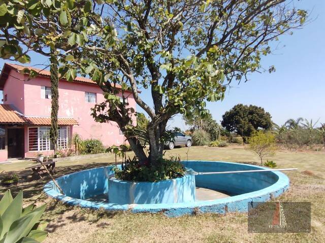 Sítio, 5 quartos, 3000 m² - Foto 3