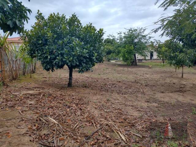 Terreno, 2100 m² - Foto 5