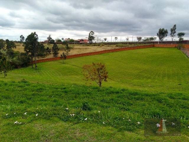 Terreno, 3043 m² - Foto 2