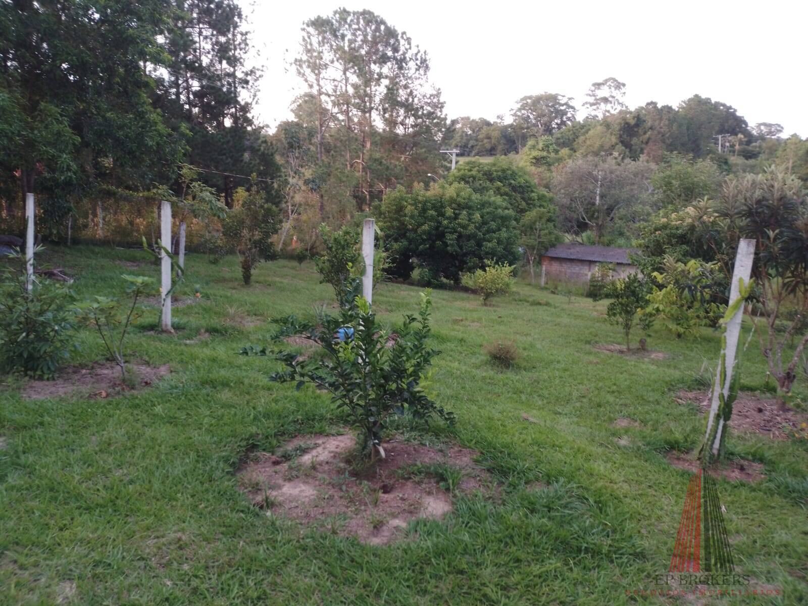 Sítio, 3 quartos, 2 hectares - Foto 19