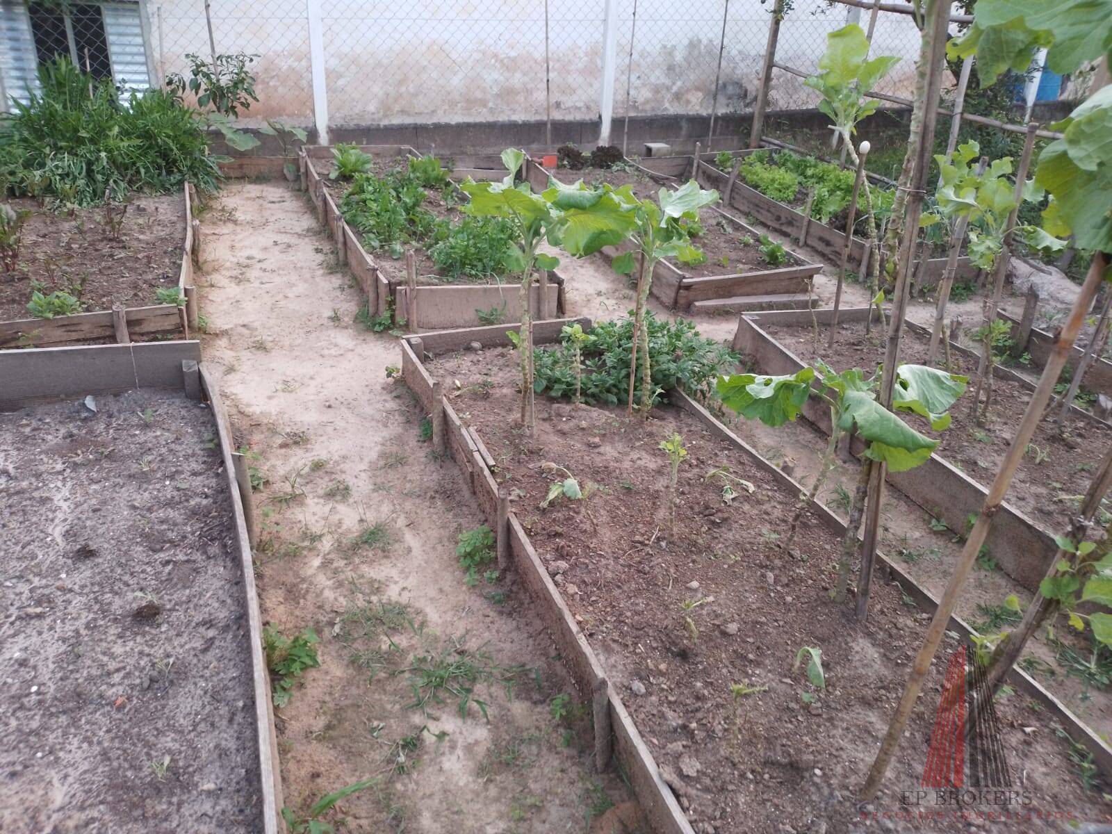 Sítio, 3 quartos, 2 hectares - Foto 11
