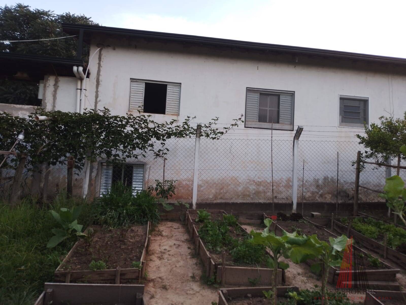 Sítio, 3 quartos, 2 hectares - Foto 12