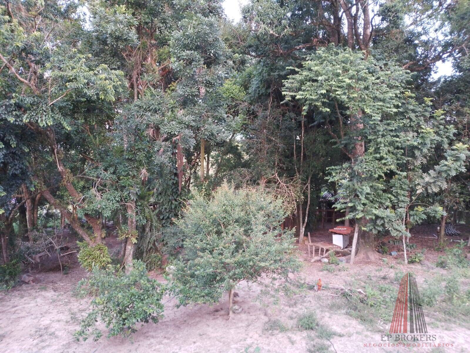 Sítio, 3 quartos, 2 hectares - Foto 15