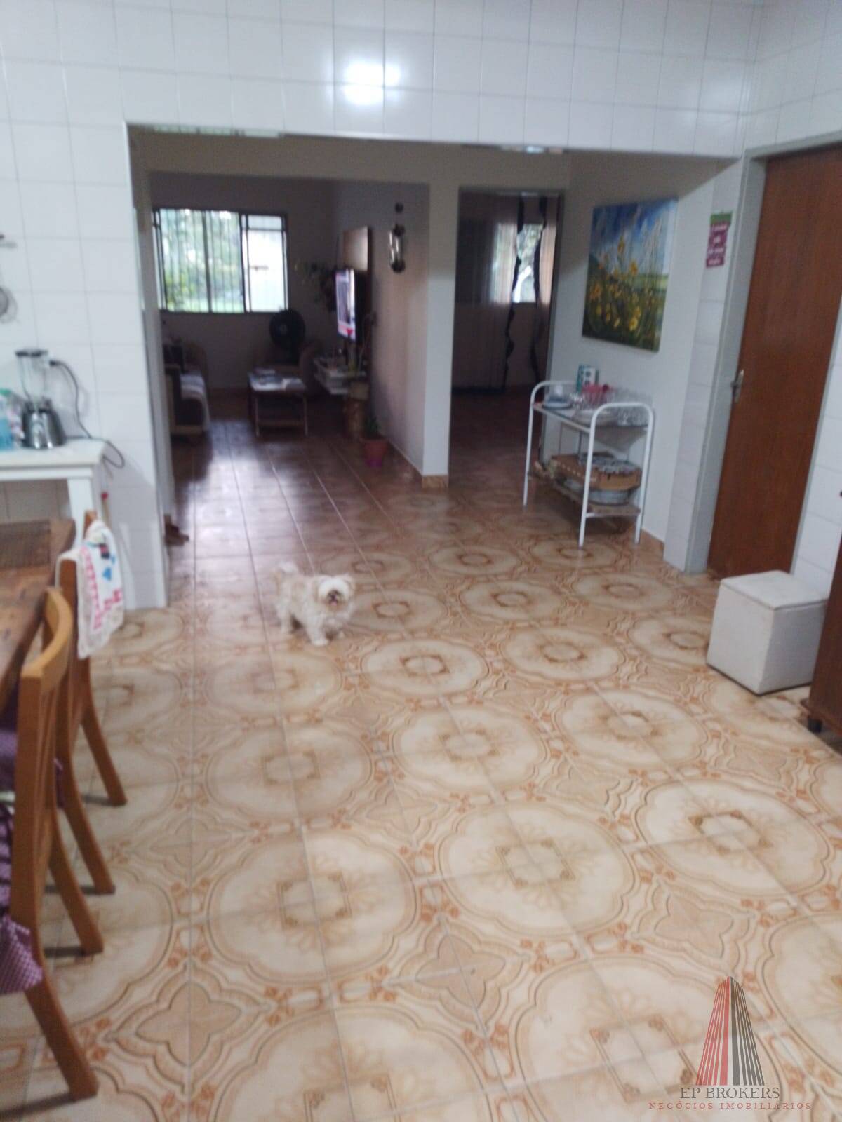 Sítio, 3 quartos, 2 hectares - Foto 4