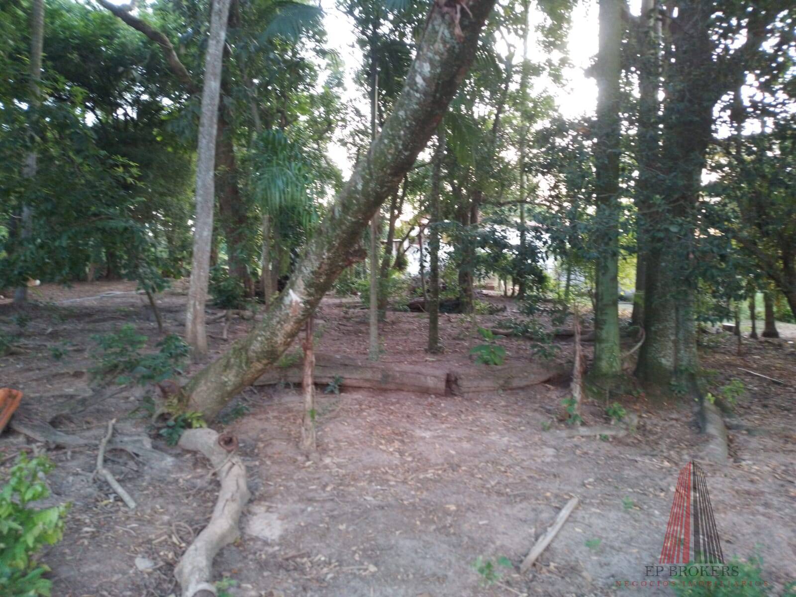 Sítio, 3 quartos, 2 hectares - Foto 17