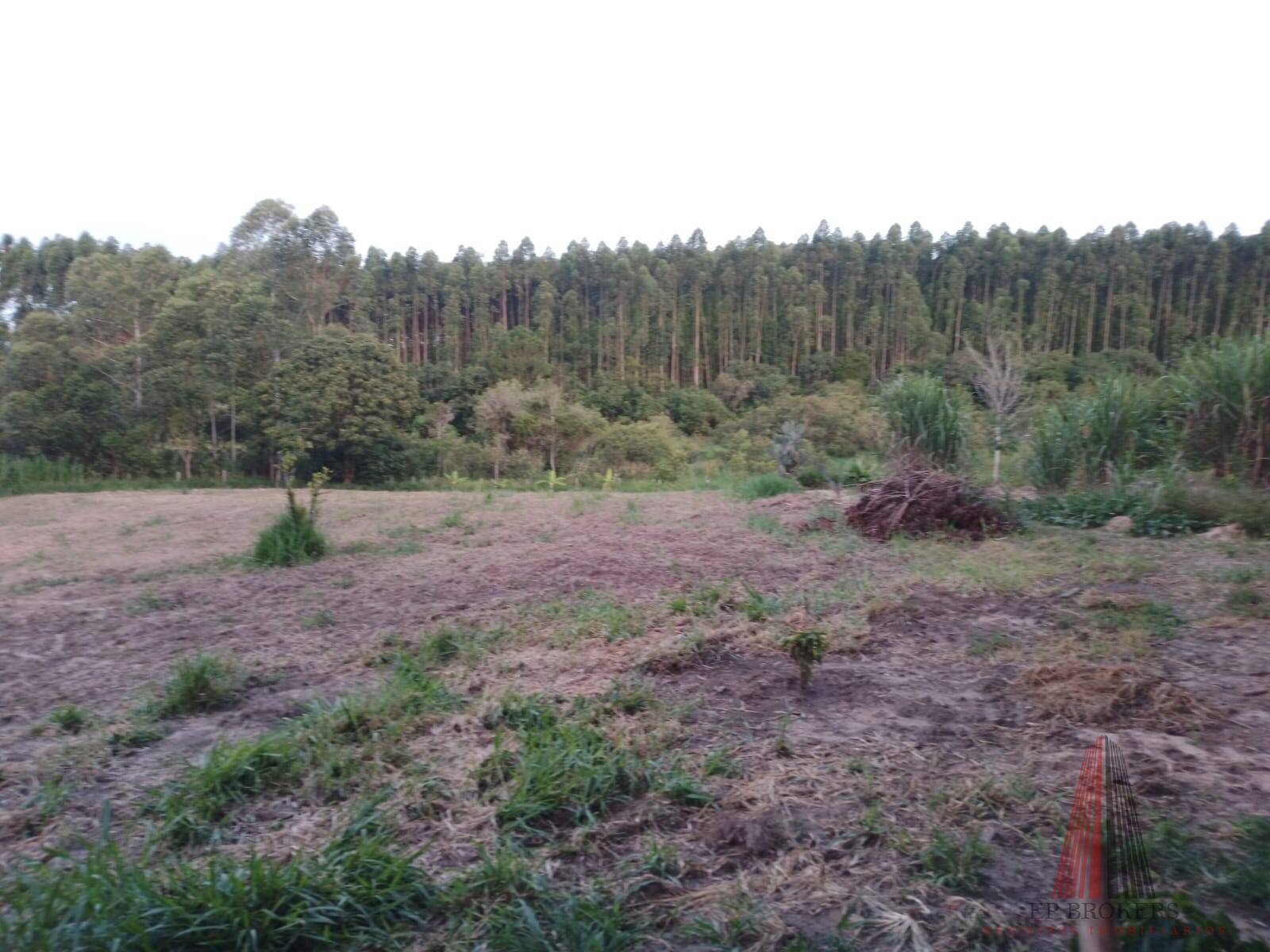 Sítio, 3 quartos, 2 hectares - Foto 13