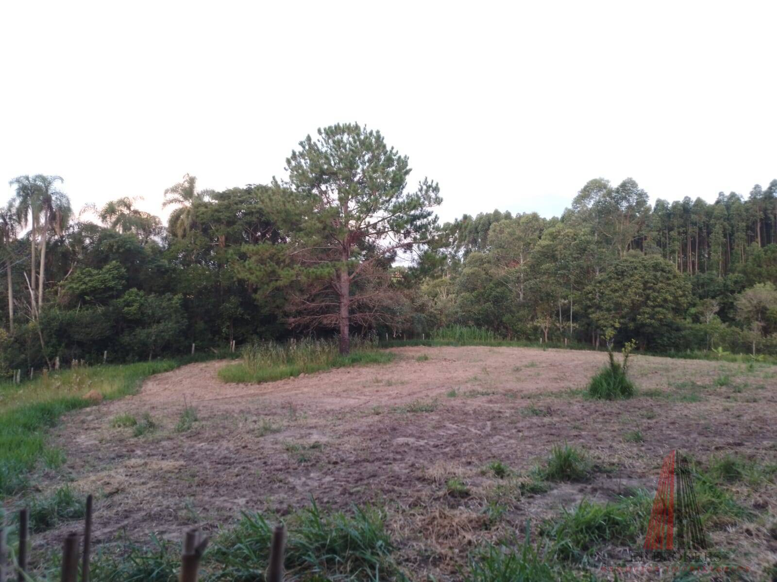 Sítio, 3 quartos, 2 hectares - Foto 14