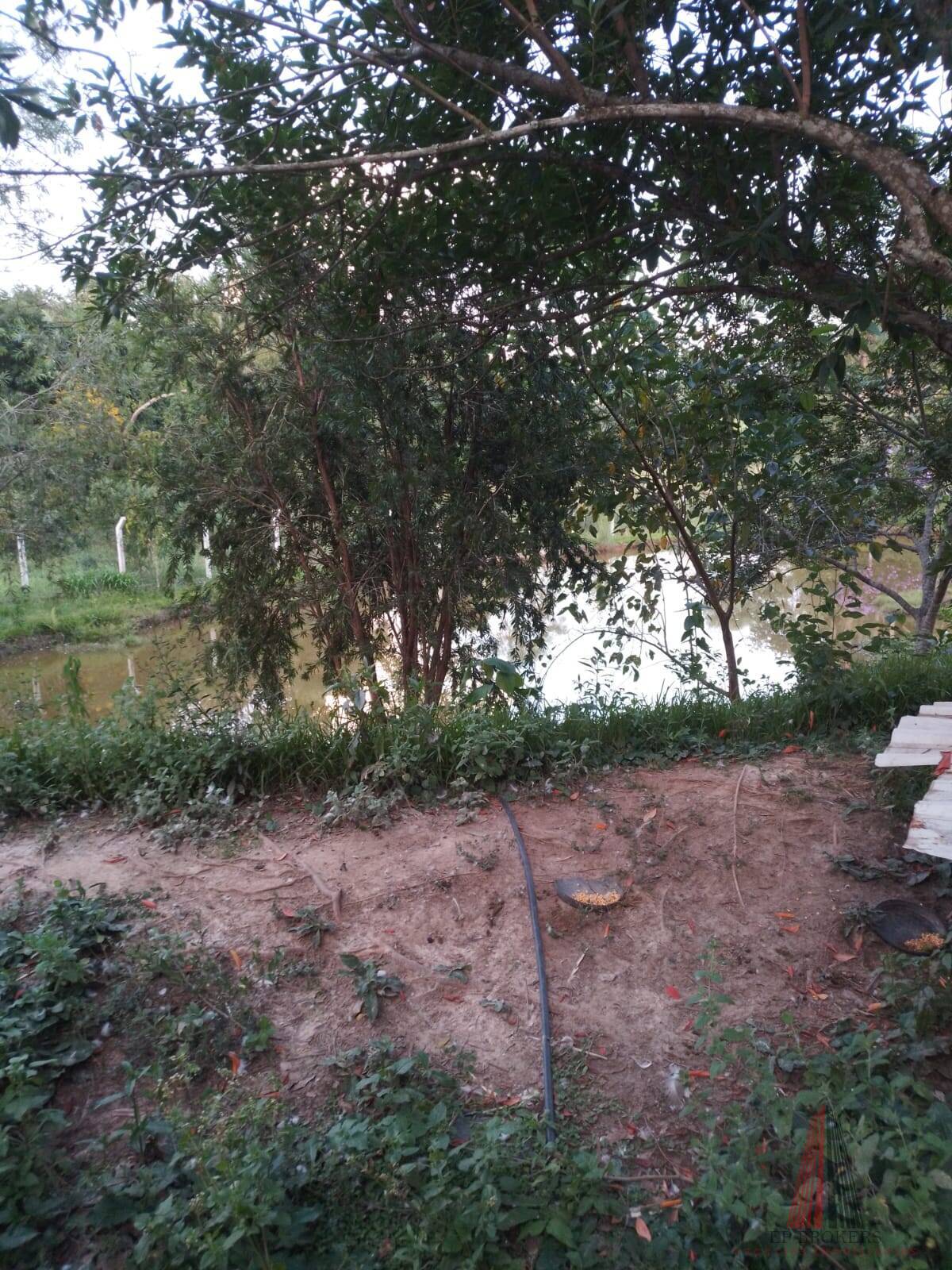 Sítio, 3 quartos, 2 hectares - Foto 16