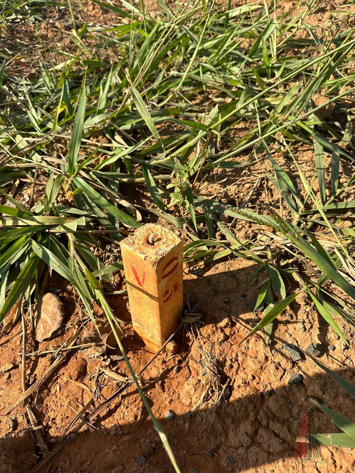 Terreno - Foto 2