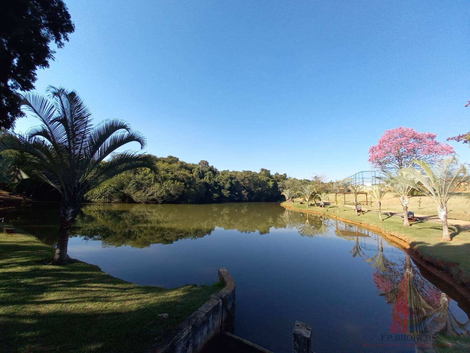 Terreno - Foto 6
